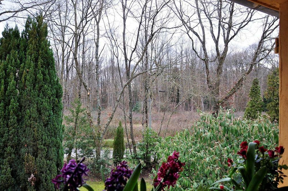 CherreauAu Jardin De Lisa住宿加早餐旅馆 外观 照片